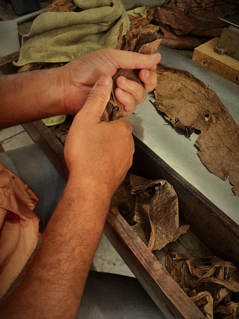 Where the tobacco comes from
